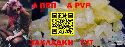 спиды Малгобек