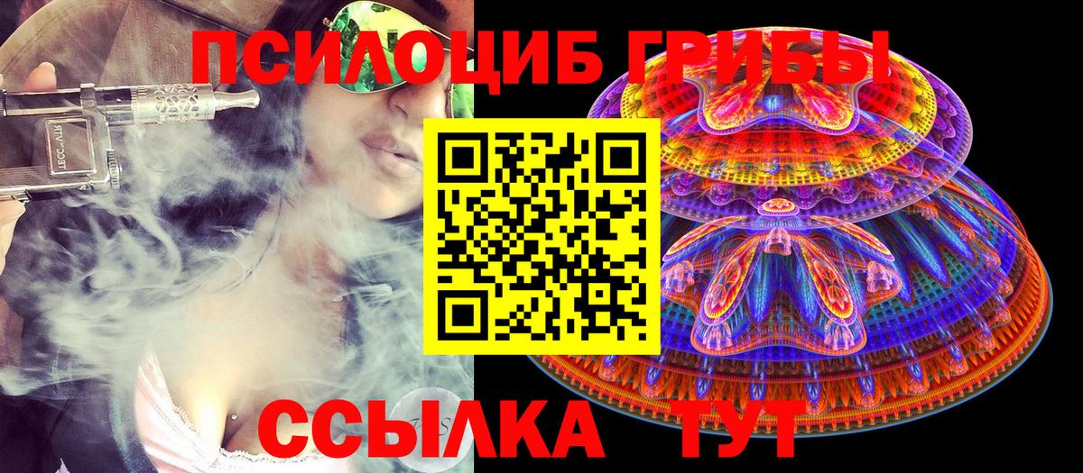 Псилоцибиновые грибы Psilocybe Вязьма